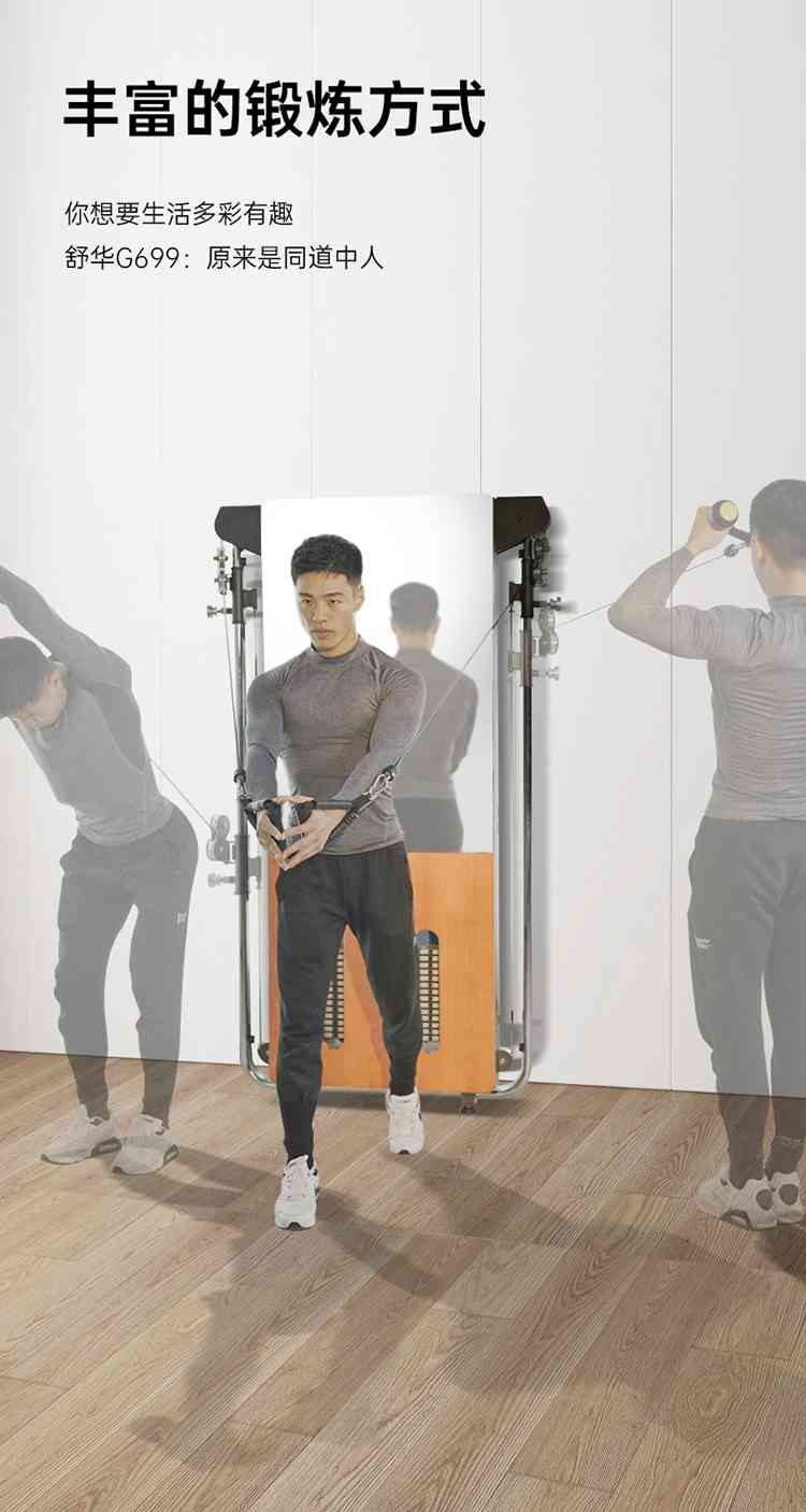 SH-G699 壁挂式拉绳训练器-广西好博体育健身器材有限公司